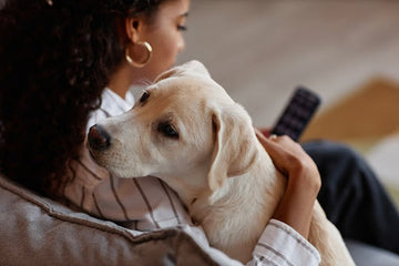 Young Black woman, holding her yellow lab while looking at her phone at online veterinary information