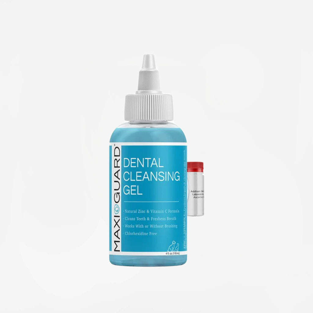 Maxi/Guard Dental Gel Dutch