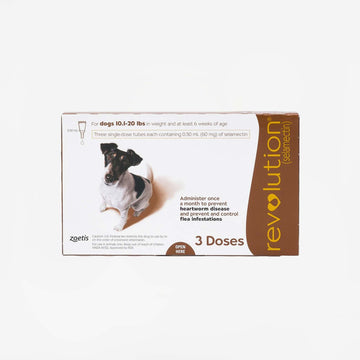 Revolution for Dogs 3-months (Rx)