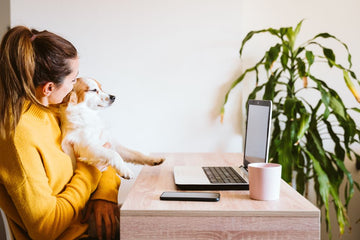 Dog owner at virtual vet appointment