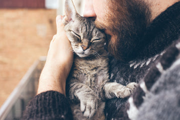 Pet owner cuddling with cat