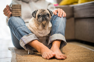 How To Prevent Arthritis In Your Dog