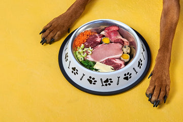 Dog food bowl with uncooked veggies, meat, poultry, and eggs