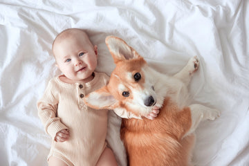 Baby and Corgi laying next to each other in bed