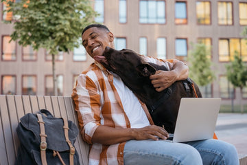 Dog licking owner as they work on laptop