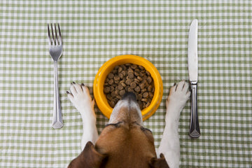 How Much To Feed A Puppy By Age
