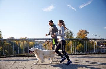 Man and woman running with dog on a leash outdoors