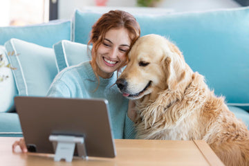 What to expect in a virtual vet visit
