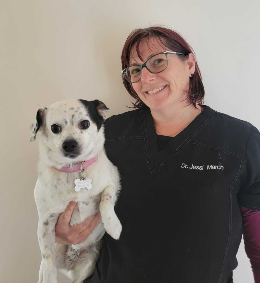 Dr. Jessica March Dutch