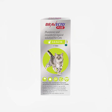 Bravecto PLUS Topical for Cats (8 Weeks) (Rx)