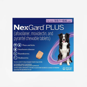 Nexgard PLUS for Dogs - 6 months (Rx)