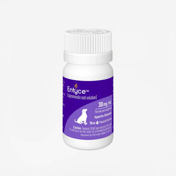 Entyce for Dogs (Rx)