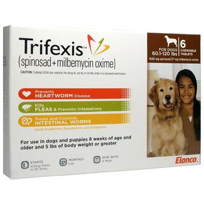 Trifexis for Dogs (Rx) Dutch - Main Image