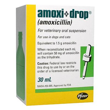 Amoxi-Drop 50 mg/ml Oral Suspension (Rx)