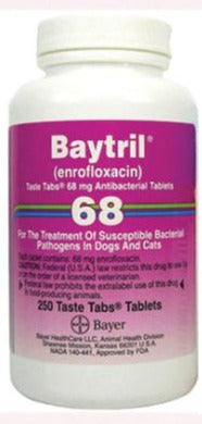 Baytril (enrofloxacin) Taste Tabs (Rx)