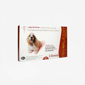 Revolution for Dogs 3-months (Rx)