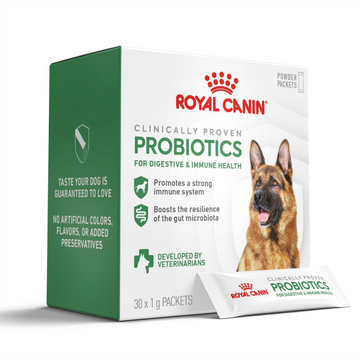 Royal Canin Probiotics Digestive and Immune Health Powder Supplement for Adult Dogs