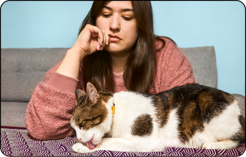 If my cat sales licks flea treatment