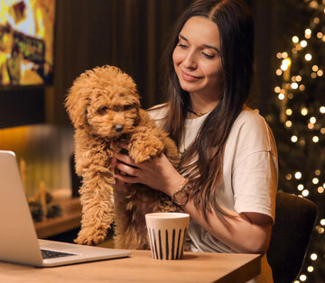 Talk to a vet online anytime, anywhere