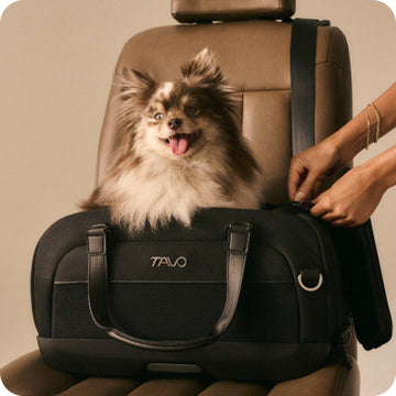 Purina Pro Plan Adult Small Breed Chicken and Rice Formula Dog Food