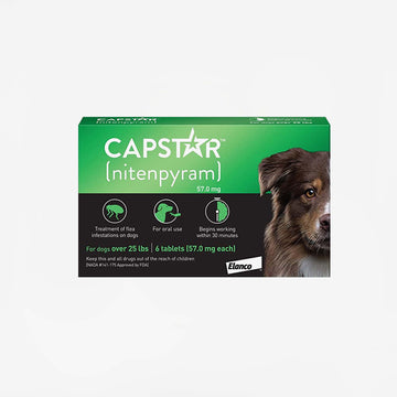 Capstar Flea Oral Treatment for Dogs, over 25 lbs