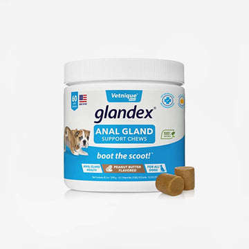Glandex Peanut Butter Flavored Soft Chews Digestive Supplement for Dogs