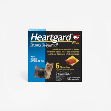 Heartgard Plus - 6 chews (Rx)