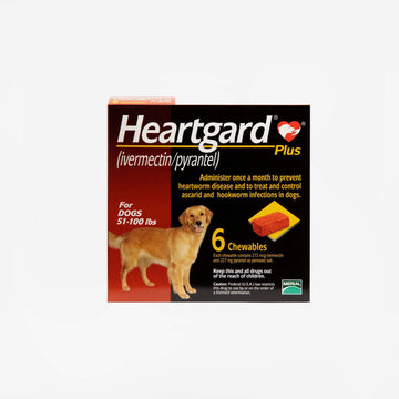 Heartgard Plus - 6 chews (Rx)