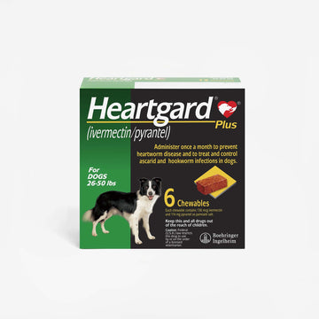 Heartgard Plus - 6 chews (Rx)